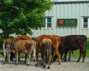 New England Woodcraft Headquarters