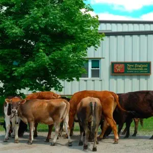 New Endgland Woodcraft Headquarters