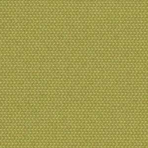 Green Polyester