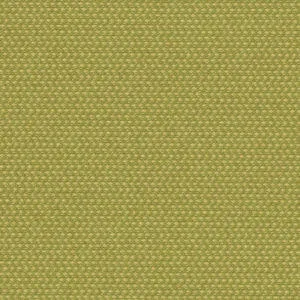Green Polyester